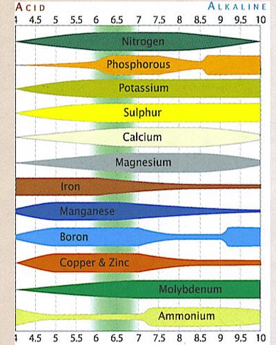 Soil pH preferences - DISCUSSING PALM TREES WORLDWIDE - PalmTalk