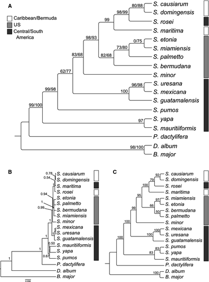 bij12551-fig-0003.png.b337276de13b439302