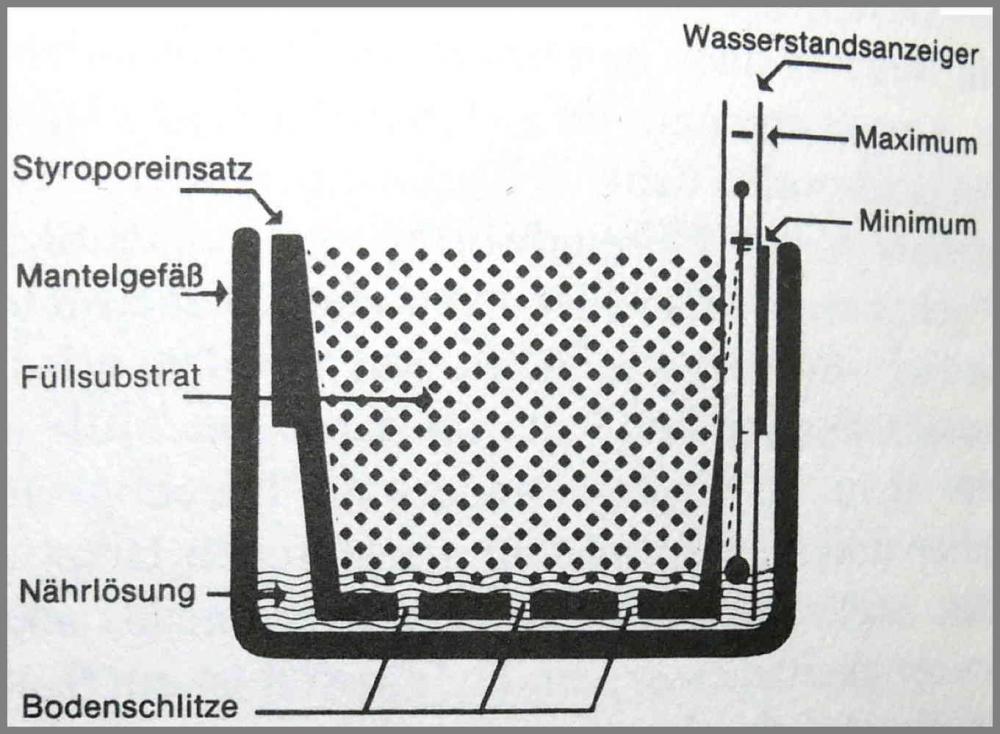 56cc669c19c78_HydrocultureP1010266.thumb