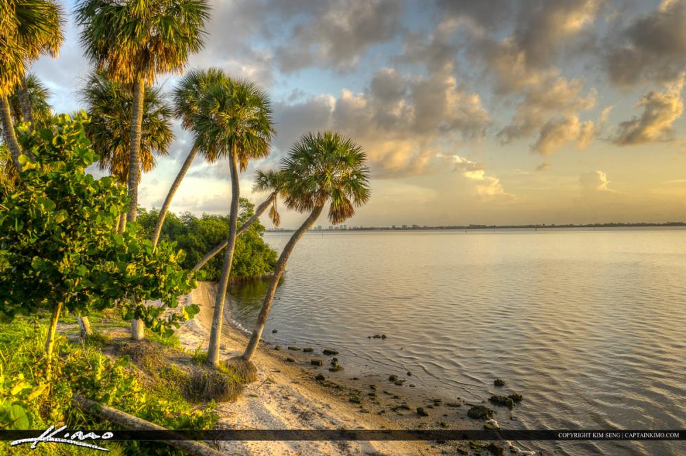 Palm-Trees-Over-the-Indian-River-Lagoon.jpg