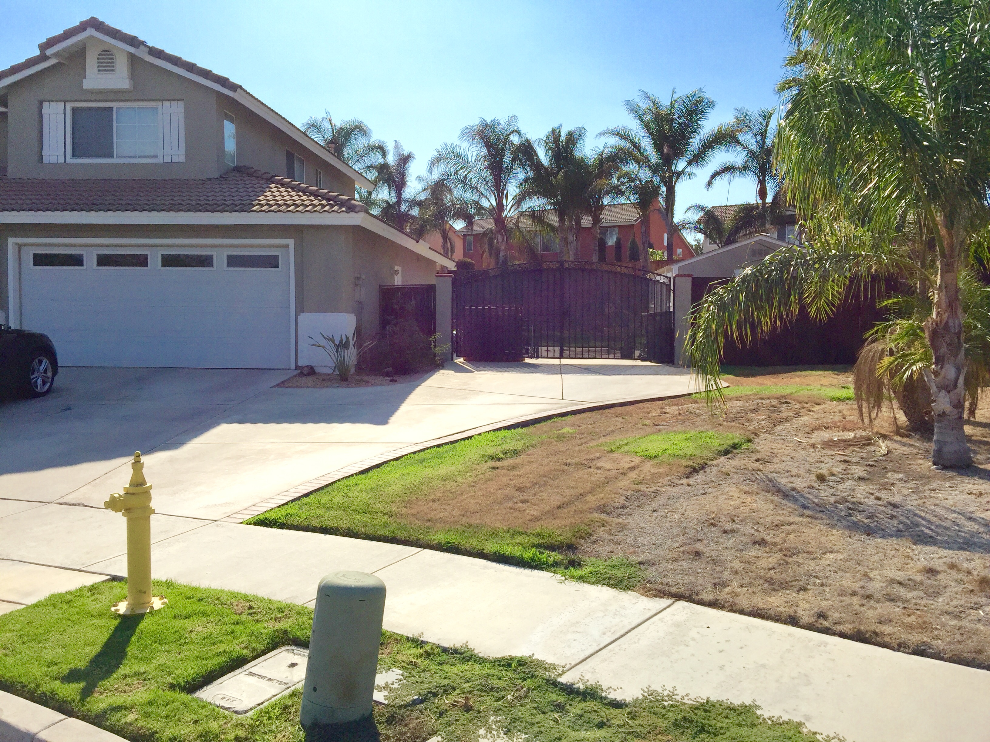 Help design my front yard - DISCUSSING PALM TREES WORLDWIDE - PalmTalk