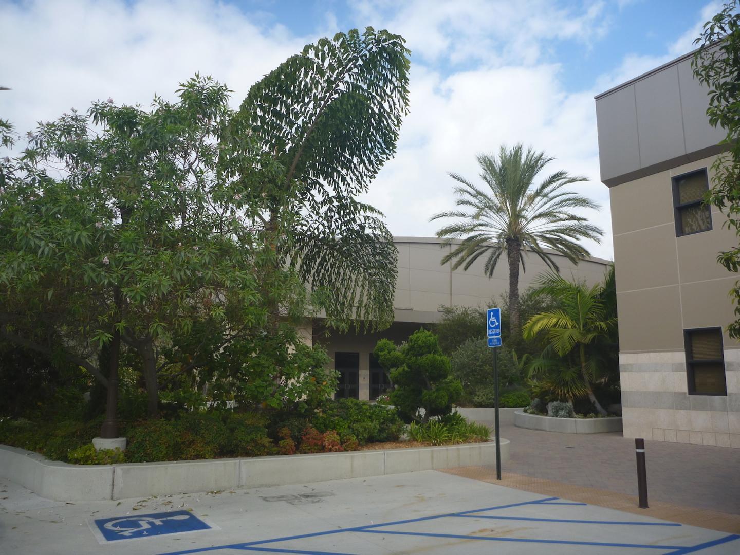 Anaheim Palm Corporate Center - DISCUSSING PALM TREES WORLDWIDE - PalmTalk