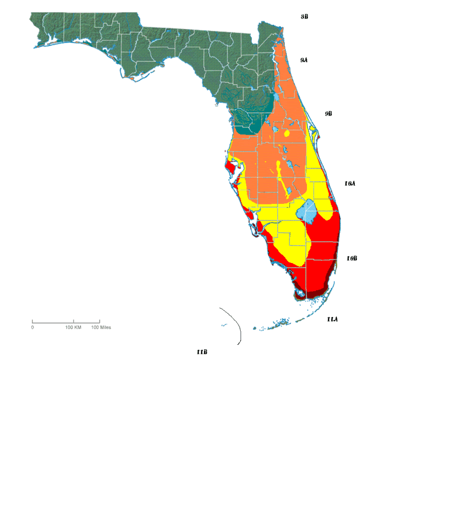 I found a new USDA hardiness map for Florida - WEATHER / CLIMATE - PalmTalk