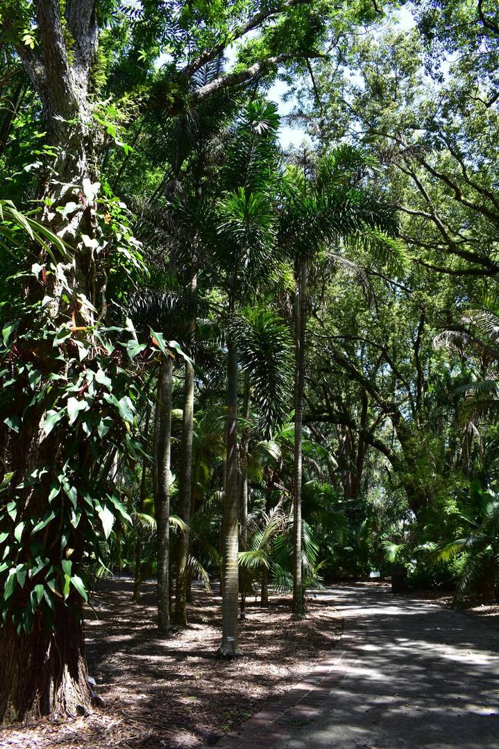 Orlando Botanical Gardens - TRAVEL LOGS - PalmTalk