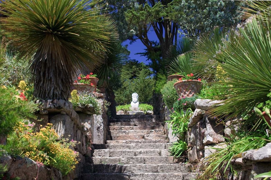 Tresco Garden 1.jpg