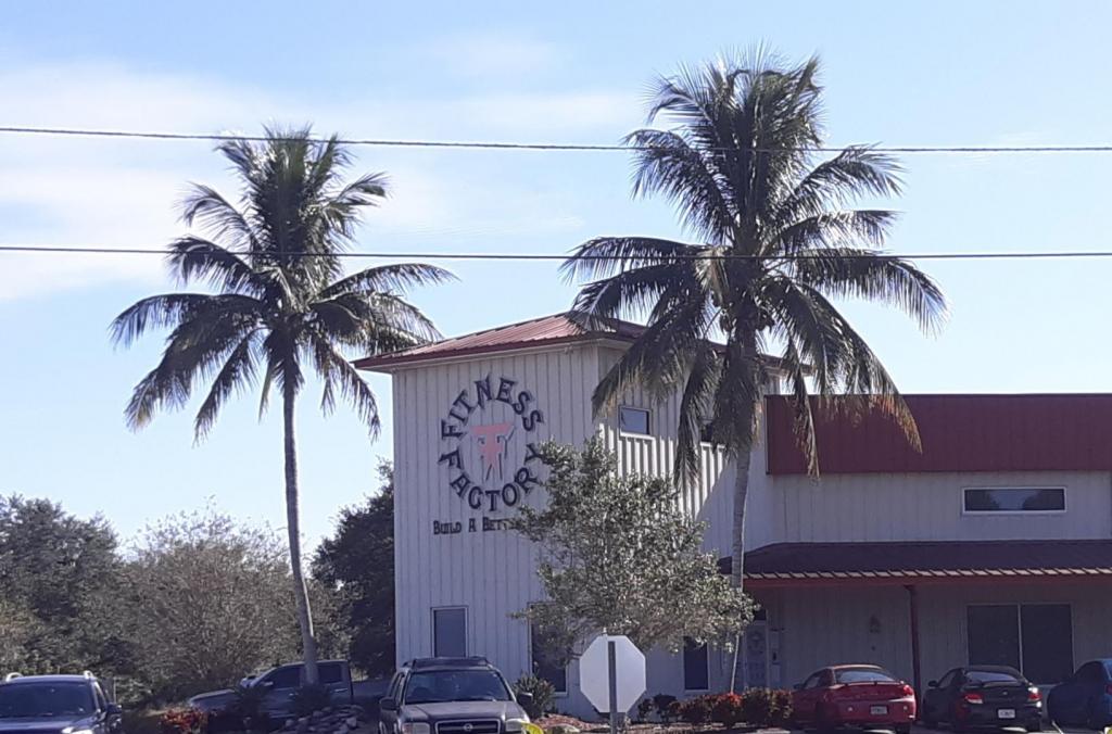 Sebring coconut palms 11-22-19 - Copy.jpg