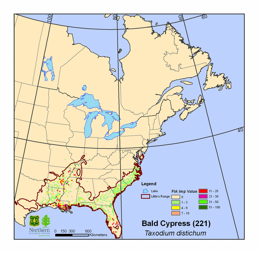 Coniferous Forest in the South? - WEATHER / CLIMATE - PalmTalk