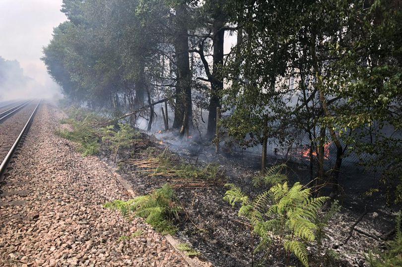 0_Chobham-fire-Network-Rail.jpg.e797269faebd841d21465a2792e8bd05.jpg