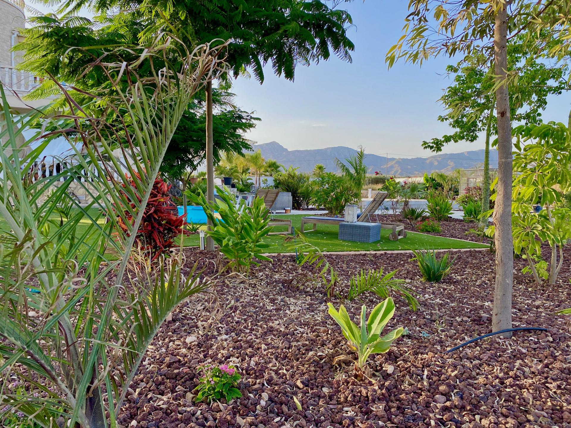 tropical palm trees landscape