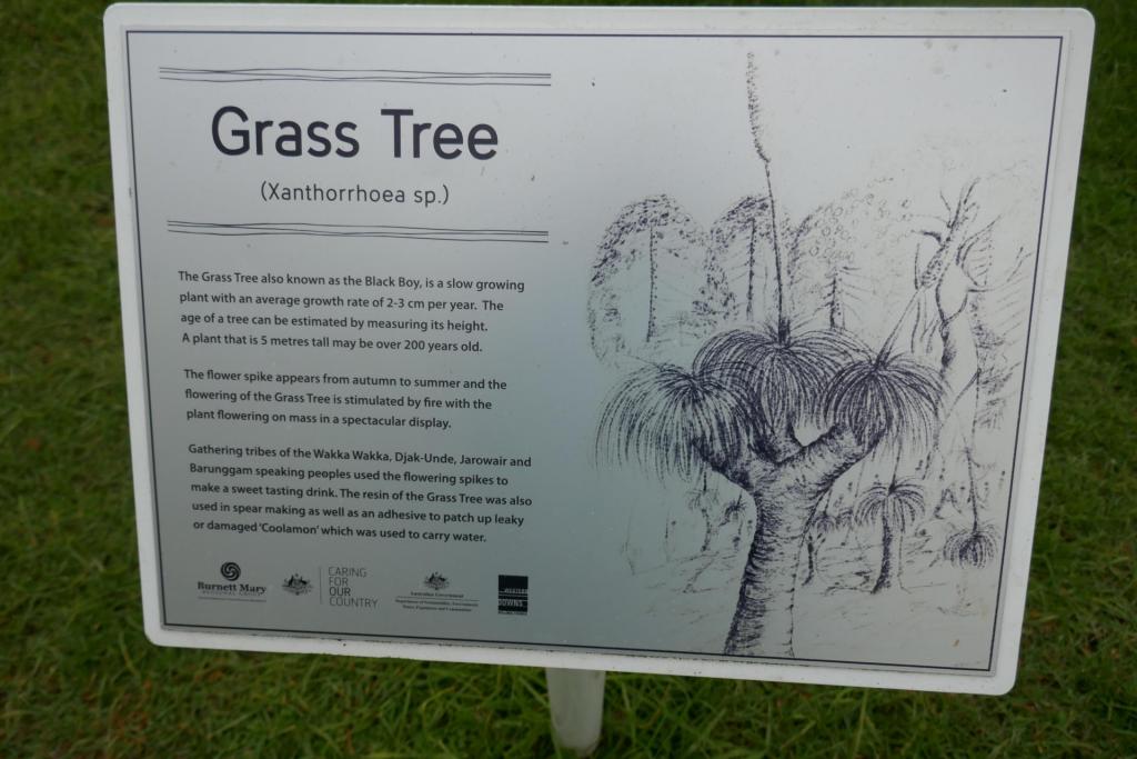 grasstree sign.jpg