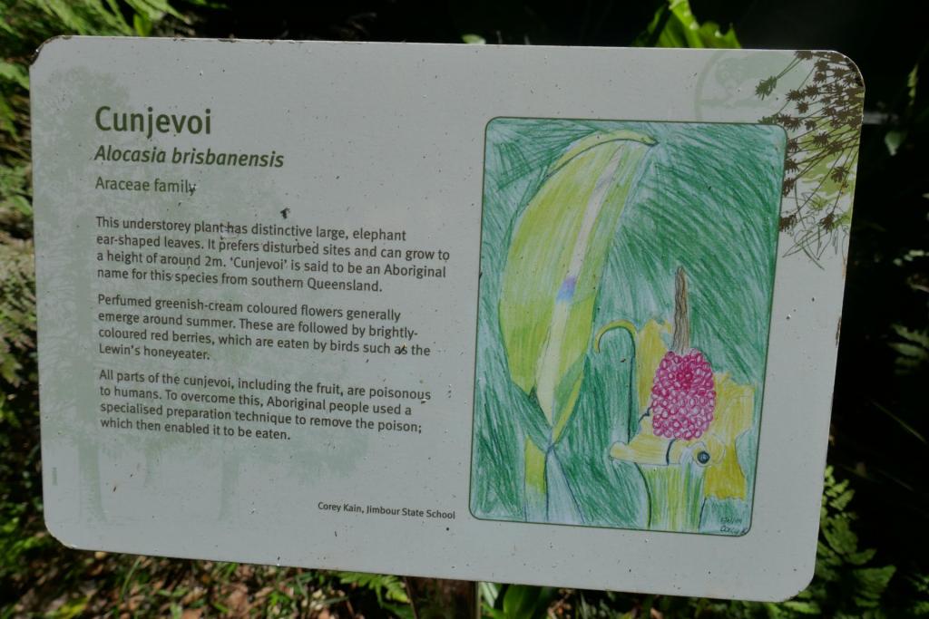 cunjevoi sign.jpg