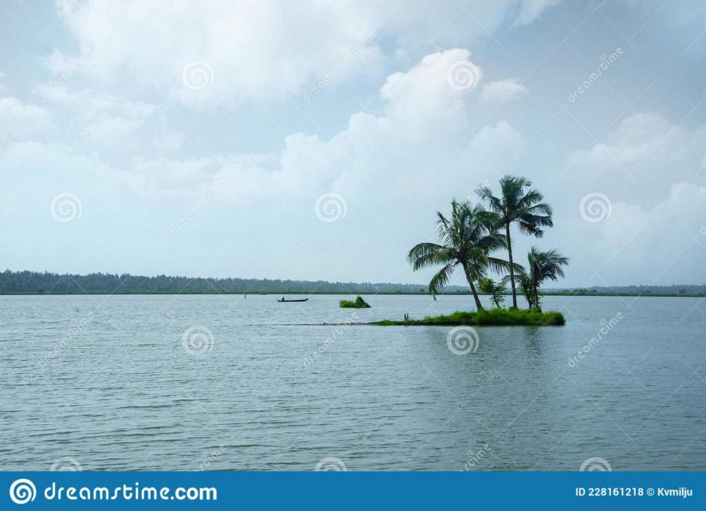 coconut-palm-trees-standing-small-island-backwaters-kerala-india-coconut-palm-trees-standing-small-island-228161218.jpg