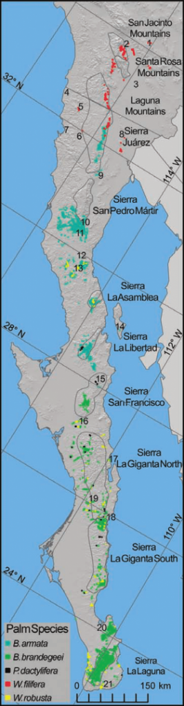 Distributions-of-native-populations-of-Washingtonia-and-Brahea-fan-palms-and-introduced.png