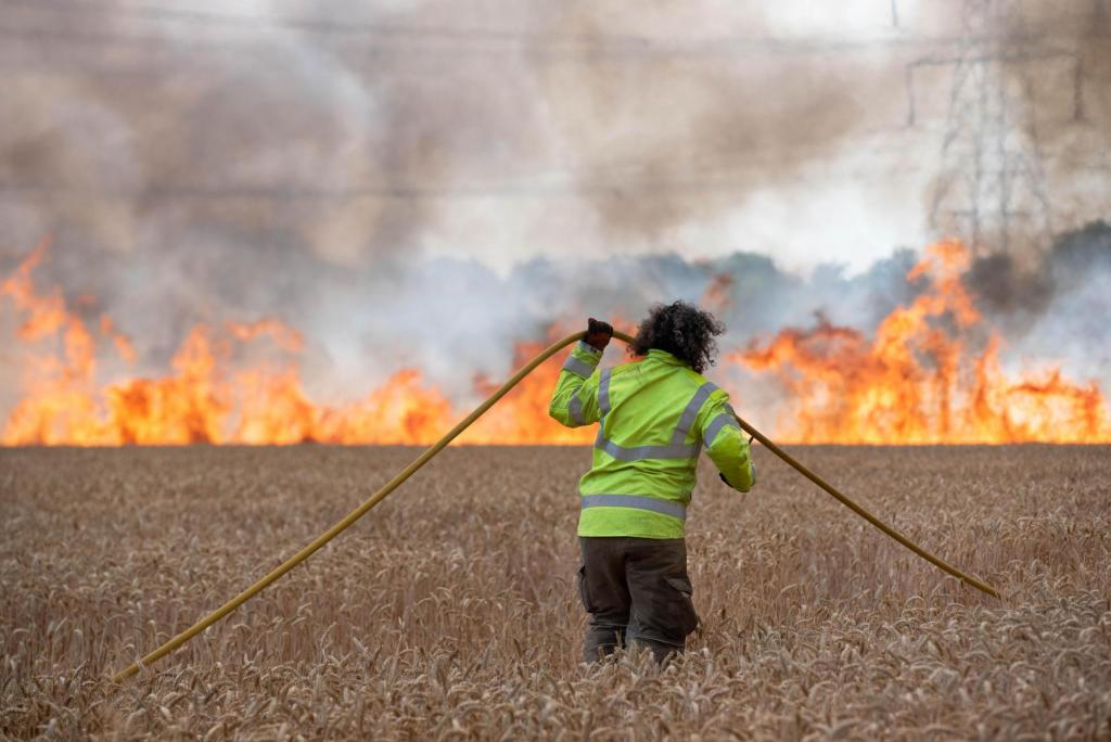 slb-22-marlesford-field-fire-11-data.thumb.jpg.2f55cf17c7689cd6e549ab65695d8dfd.jpg