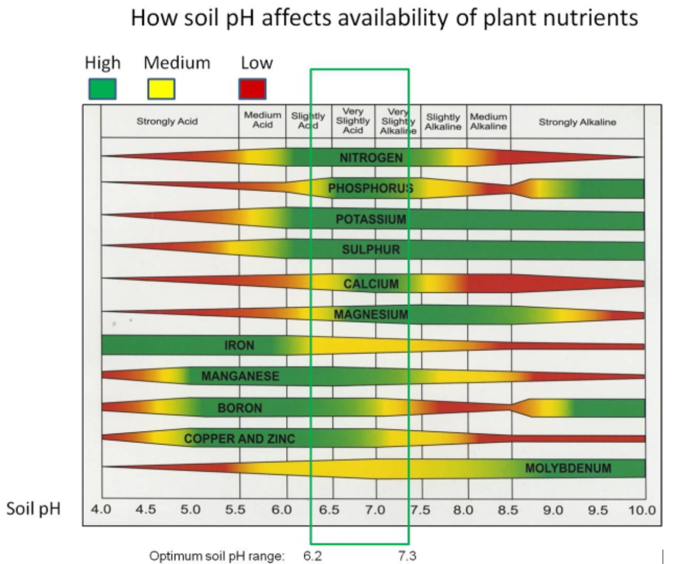 970054385_NutrientssoilpHandavailability.png.ecb5efc1fb78b7fa754ee7b8b9e6bdce.png