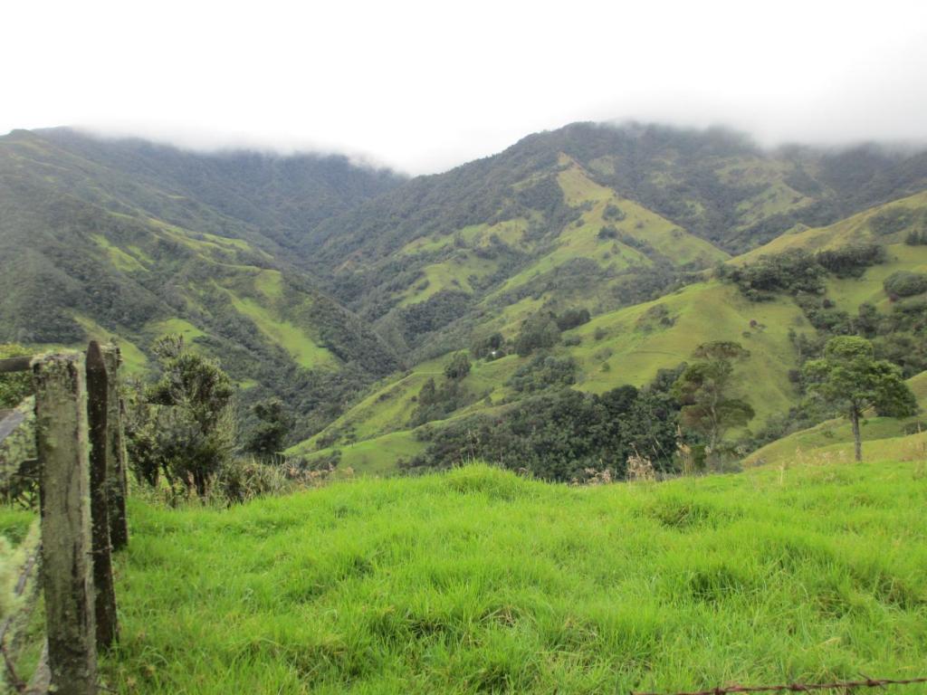 247469722_Day2-06-Colombianmountainlandscape.thumb.JPG.e6050194e77994a5f96f77053c2d55cf.JPG