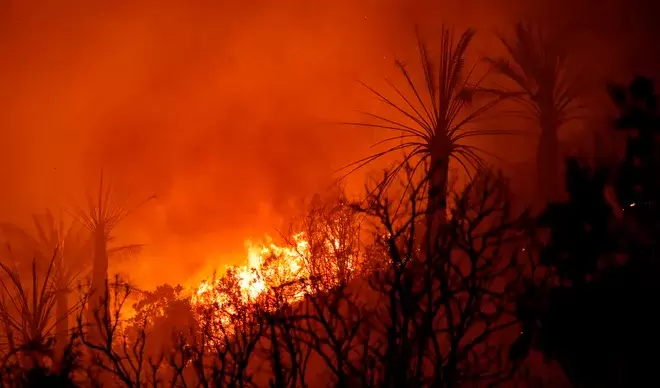 incendio-vina-del-mar.jpg.50e02b5b777998b856a5b2544e4edaa7.jpg