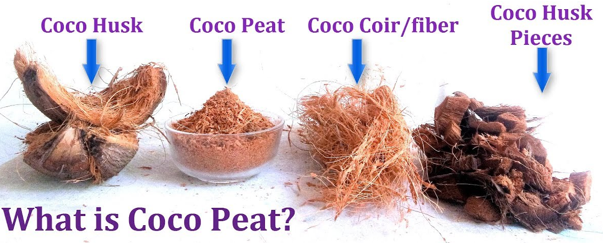 Differences Between Coco Coir Peat and Sphagnum Peat Moss