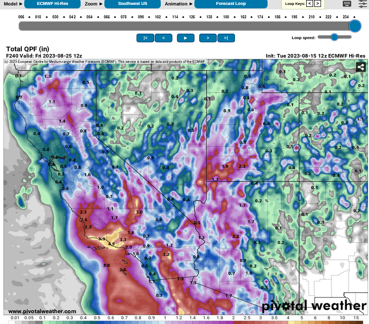 Screenshot2023-08-15at13-46-02ModelsECMWFHi-ResPivotalWeather.png.9c6c88d24ef089764f68ee01a9929906.png