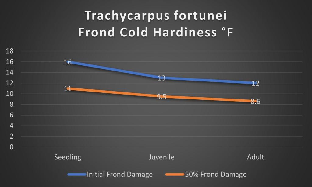 fortunei hardiness.jpg