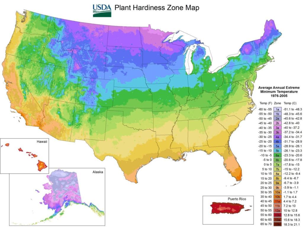 hardiness-zones.thumb.jpg.4c65101f5cbc5ef5c5ede6a26fb23eef.jpg