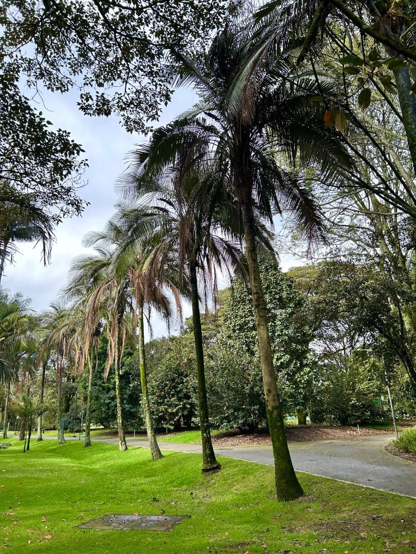 Photos from Bogota Botanical Gardens - 8,600 feet up in Colombia - with ...