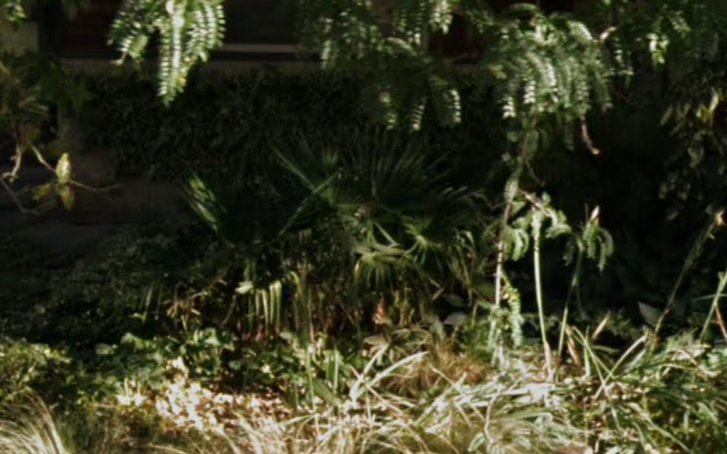 image.thumb.png.0198c1629929cd2cf1543fc9ea1c92a1.png