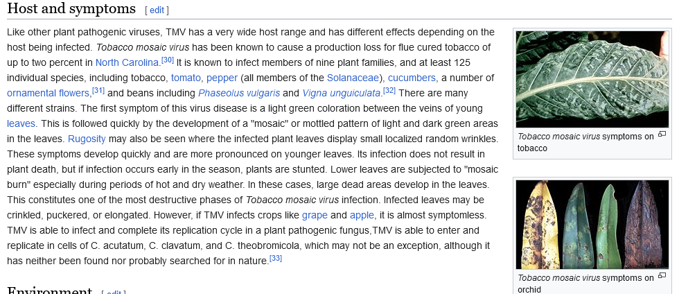 Screenshot2023-12-03at22-18-41Tobaccomosaicvirus-Wikipedia.png.208211658cfbb3664339e1a06ceadaba.png