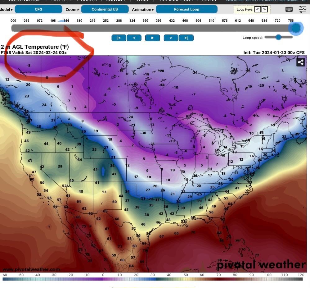 Polar Vortex 2024 Page 13 COLD HARDY PALMS PalmTalk