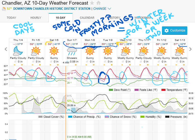 What is your current yard temperature Page 123 WEATHER