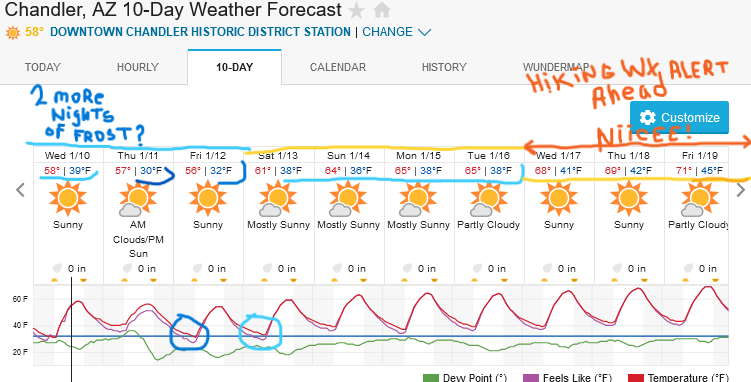 Screenshot2024-01-10at13-21-41ChandlerAZ10-DayWeatherForecastWeatherUnderground.png.5362070f21cf3a674188f896a0a1ac7f.png