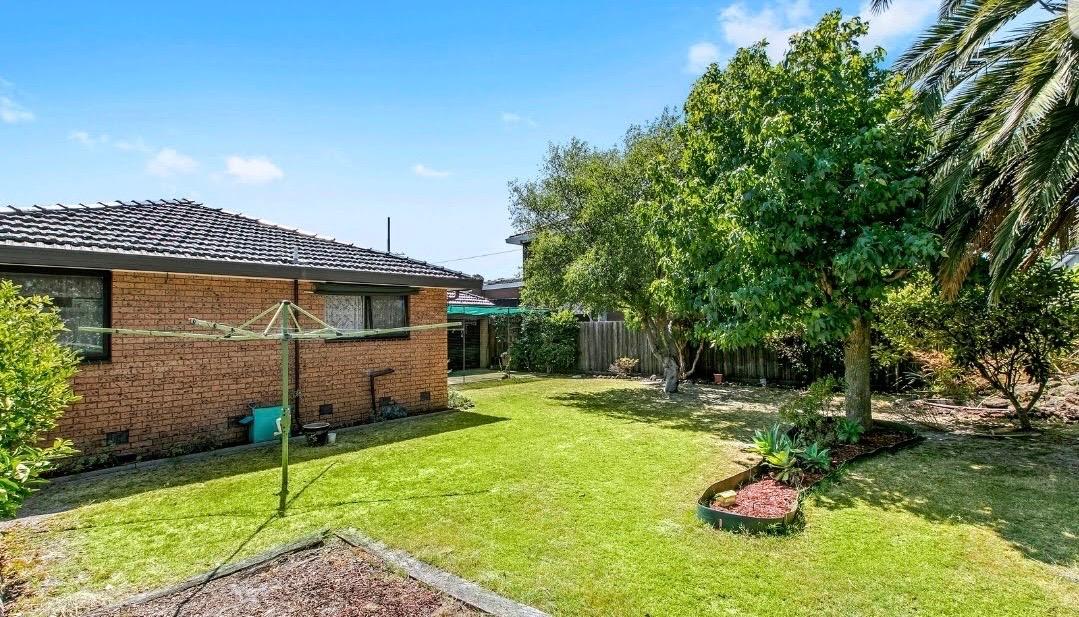 My Garden - Melbourne Australia - DISCUSSING PALM TREES WORLDWIDE ...