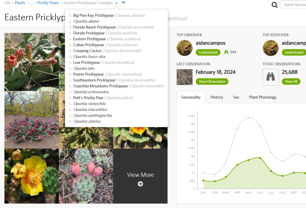 Screenshot2024-02-18at10-23-10easternpricklypearcomplex(ComplexOpuntiahumifusa).thumb.png.862fe7d735c23be5d114b73d578d3217.png