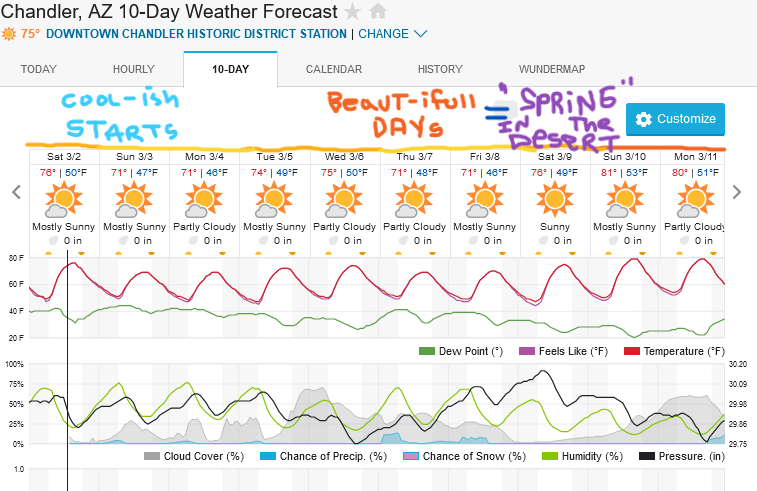 Screenshot2024-03-02at13-18-21ChandlerAZ10-DayWeatherForecastWeatherUnderground.png.3d2b5e9c5dd80f457ba15c3a795f67ed.png