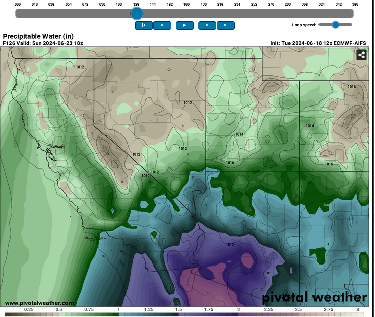 Screenshot2024-06-18at13-28-08ModelsECMWF-AIFSPivotalWeather.png.b1cca2110daa696010b7674429dfaec8.png