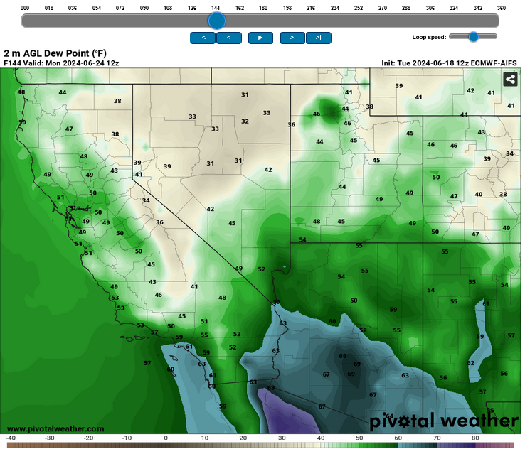 Screenshot2024-06-18at13-30-01ModelsECMWF-AIFSPivotalWeather.png.4df08af89ad6b6942d8970ab627271c0.png