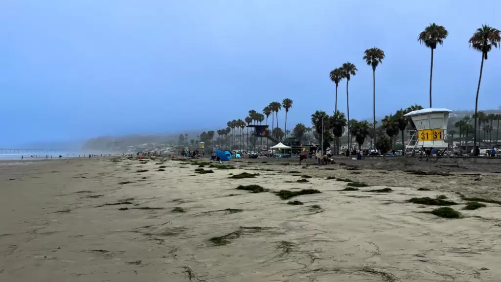 lrg-la-jolla-shores-on-a-cloudy-day.thumb.webp.e0288f93df86b96e12ff2b17506a22fc.webp