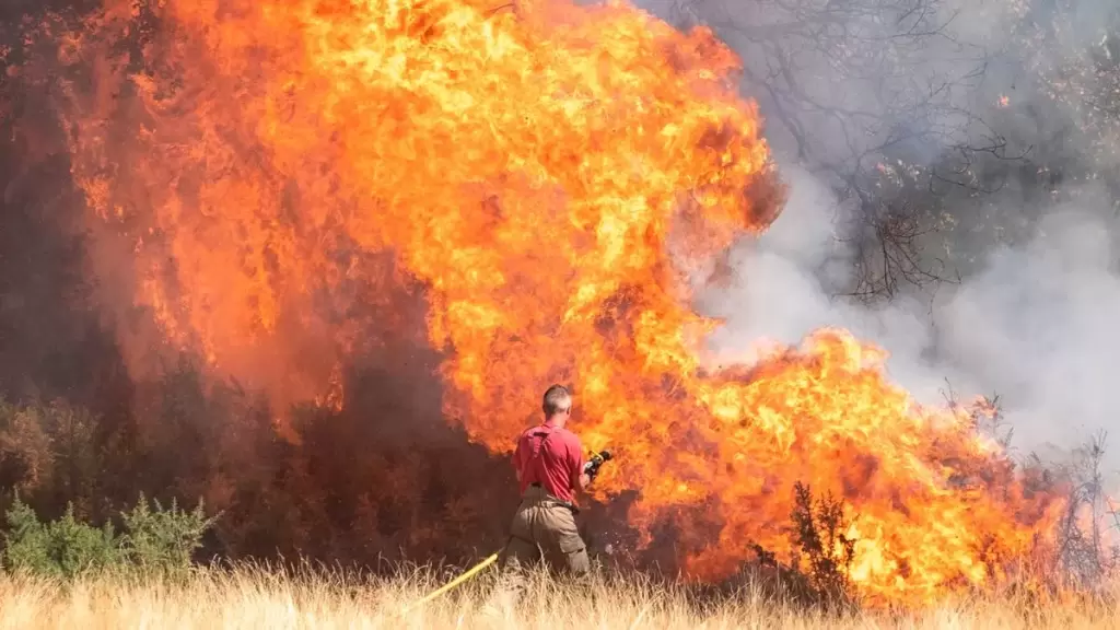 0_PAY-JMP_GRASS_FIRE_LONDON_09JPG.thumb.webp.8571819593b34b71563cc31a229183b8.webp