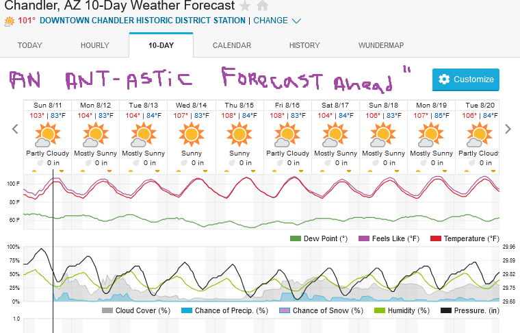 Screenshot2024-08-11at14-37-19ChandlerAZ10-DayWeatherForecastWeatherUnderground.png.2ee429897a85402483c9d21382d9d131.png