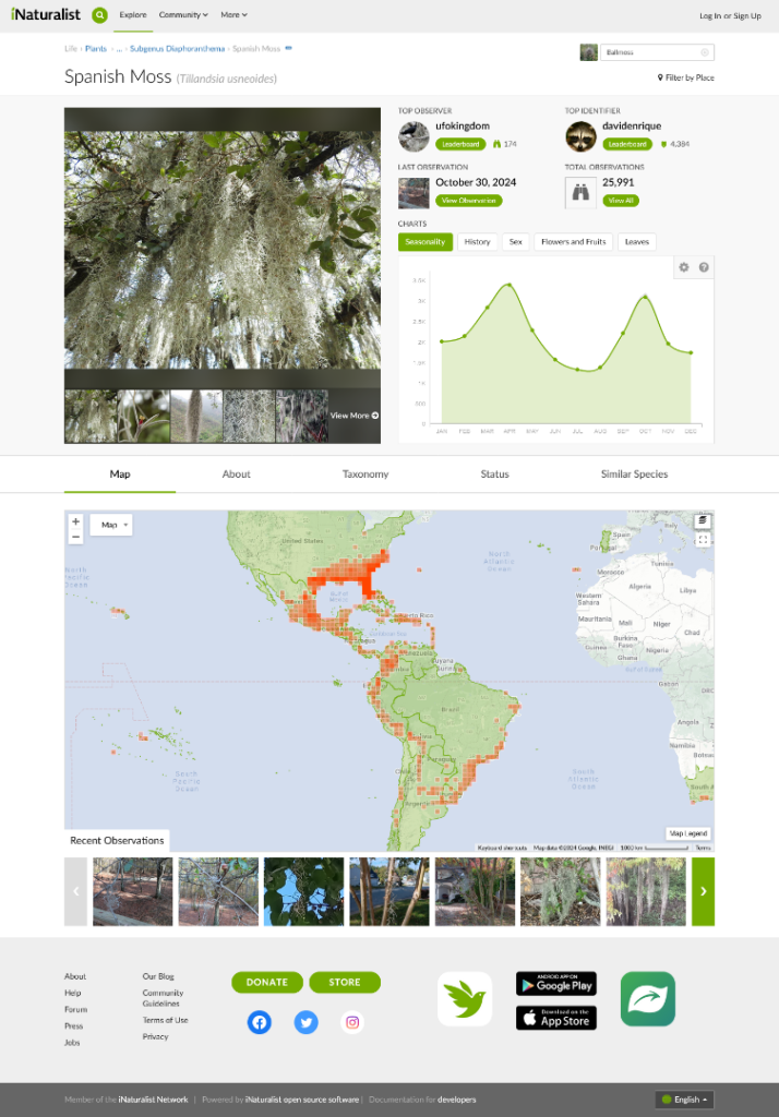 Screenshot2024-10-30at08-30-07SpanishMoss(Tillandsiausneoides).thumb.png.8040b04dc855f49f362e2906c81631c7.png