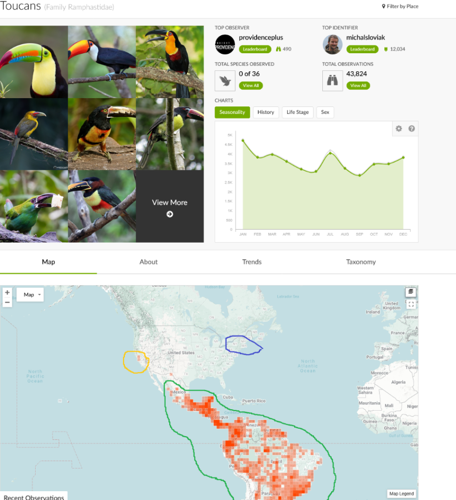 Screenshot2025-03-07at13-00-49Toucans(FamilyRamphastidae).thumb.png.76b483edd3241e58e9676ba2eb3f2ed4.png