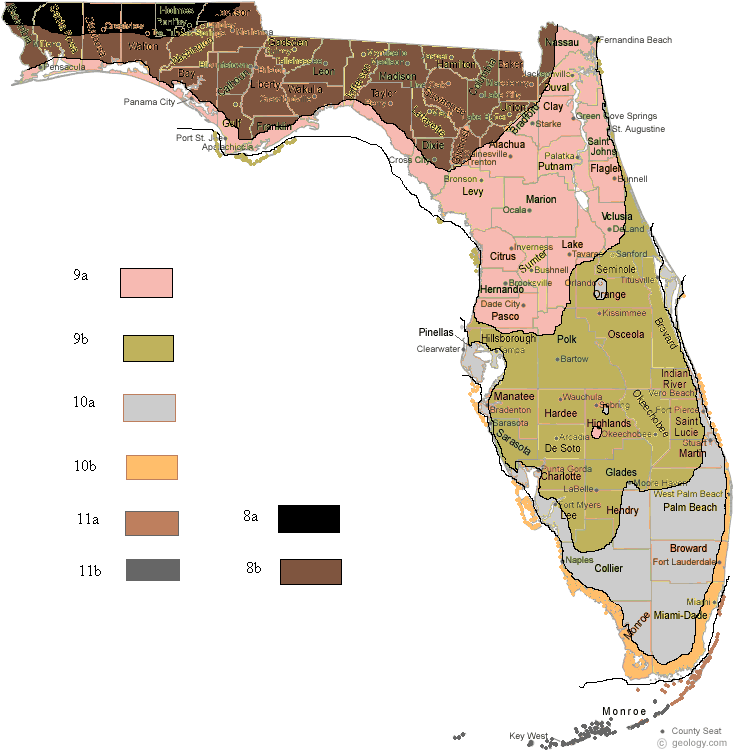 Most Northerly area of Florida Considered Zone 10b,10a, and 9b - Page 3 ...