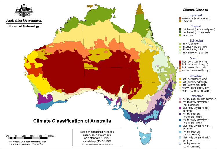 zones-in-australia-discussing-palm-trees-worldwide-palmtalk