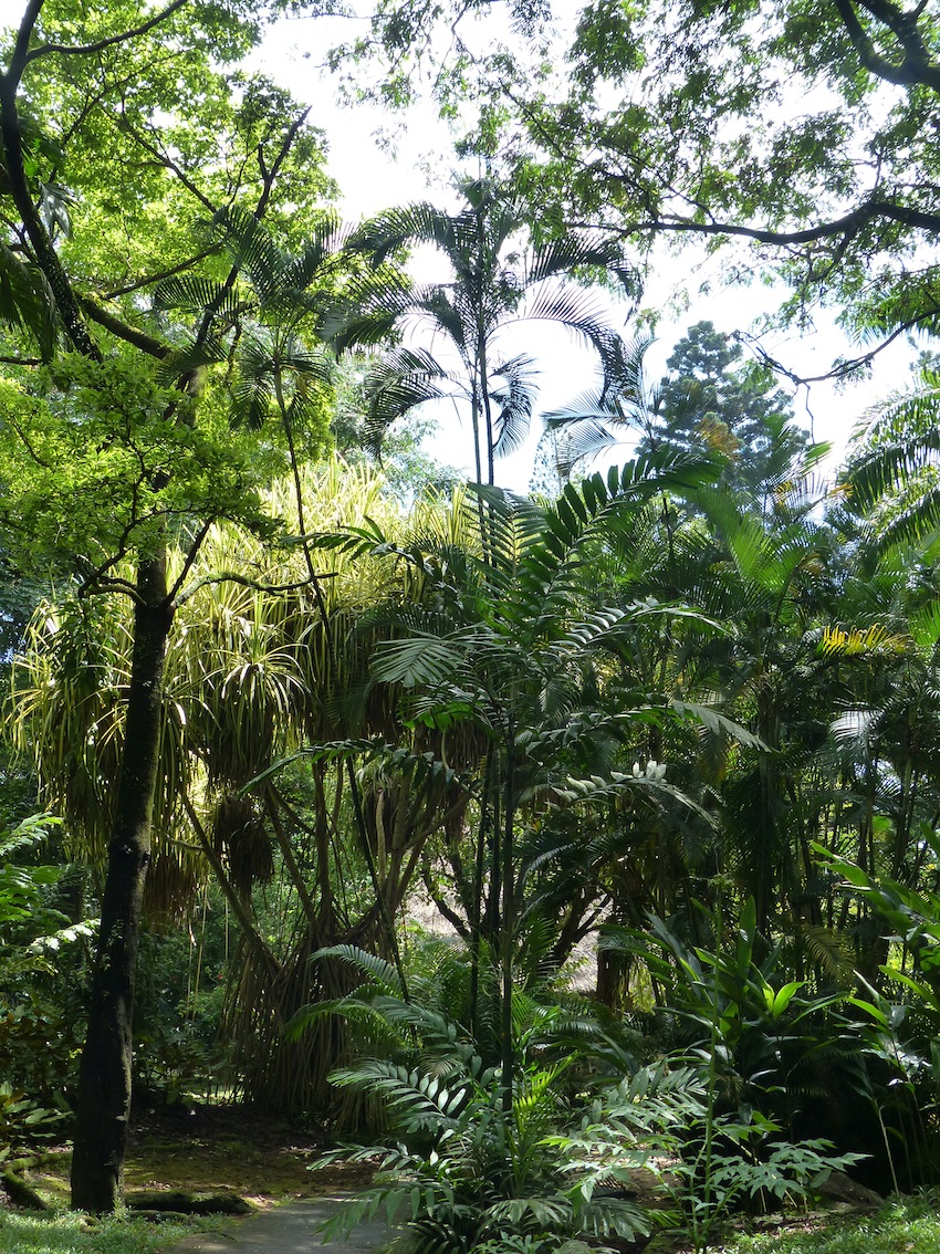 Mont Fleuri Botanic garden, Victoria, Mahé, Seychelles - DISCUSSING ...