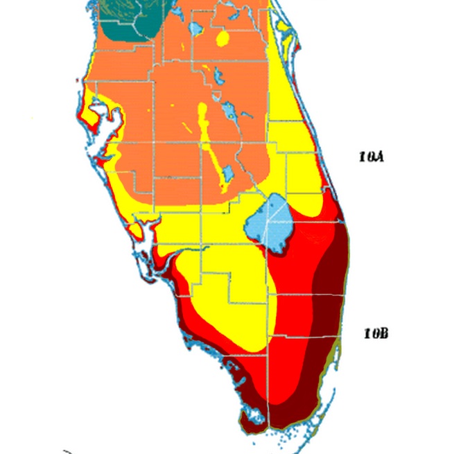 most-northerly-area-of-florida-considered-zone-10b-10a-and-9b