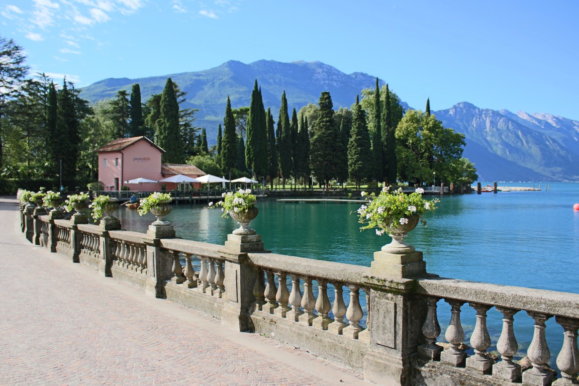 Postcard palms at lake Garda, Italy - TRAVEL LOGS - PalmTalk